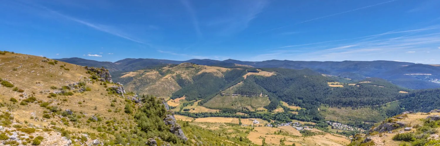 David RAYMOND banner