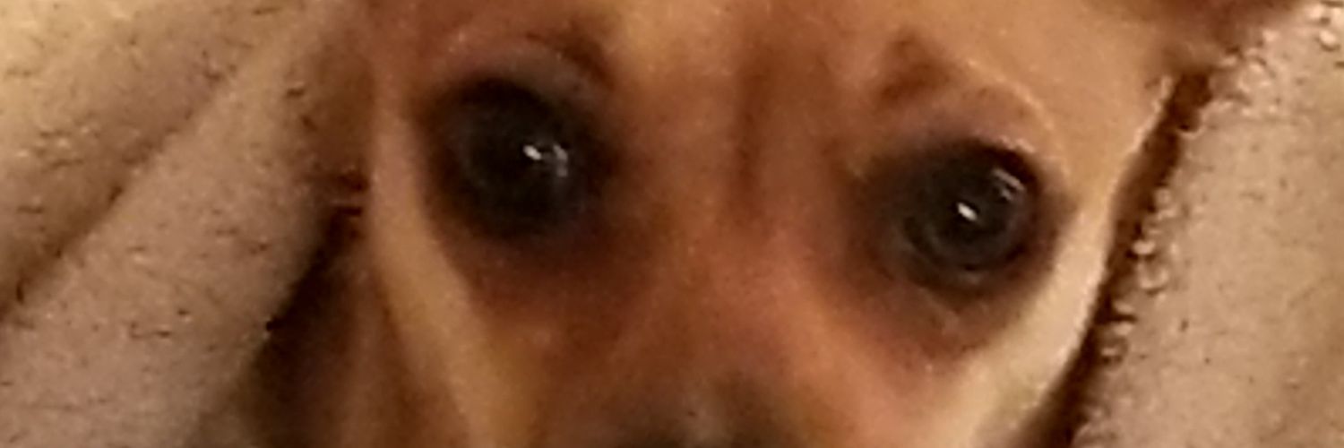 Kdsims1975's profile banner image