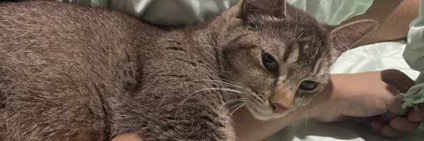 nonAngie Profile Banner