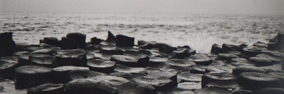 Etienne Brouzes banner