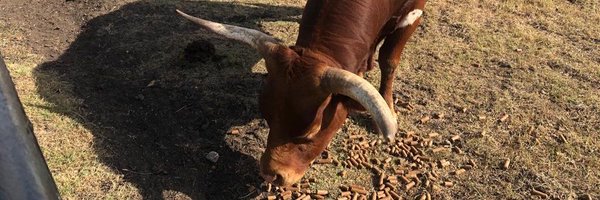 JohnOh_IFA Profile Banner