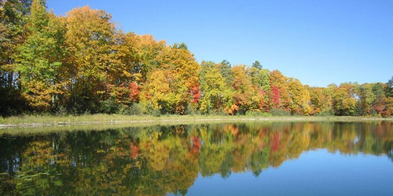 James D Schwarzmeier banner