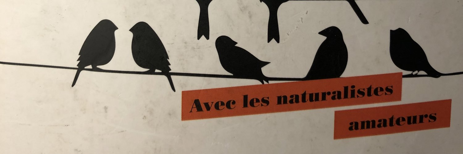 Vanessa Manceron banner