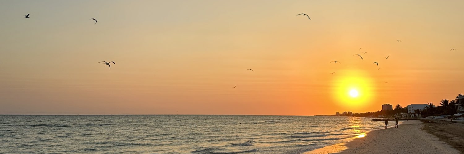 m_cedmo71's profile banner image