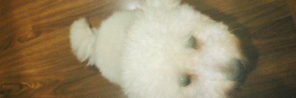 v1nfps_ Profile Banner