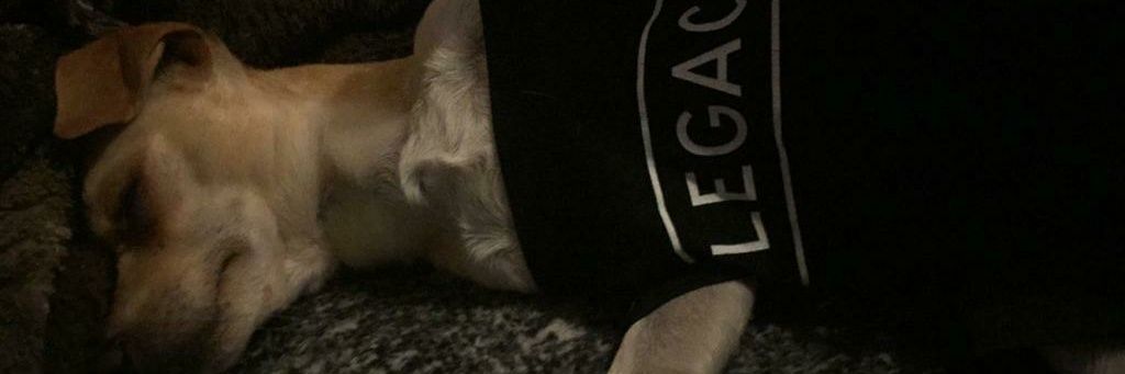 AdrianJFH's profile banner image