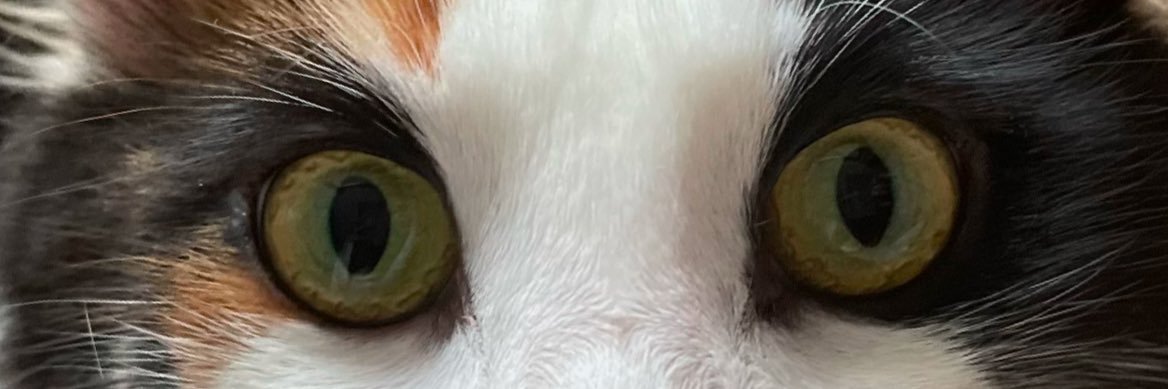 AtakServet's profile banner image