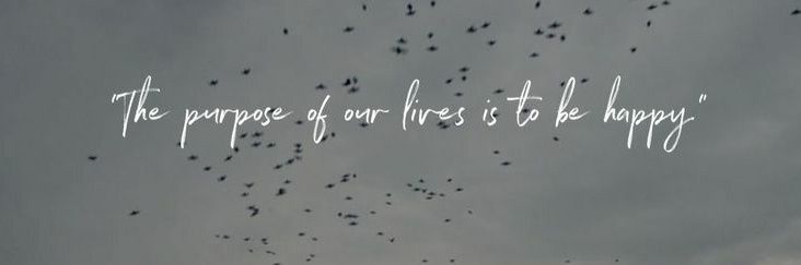 Not your girl banner