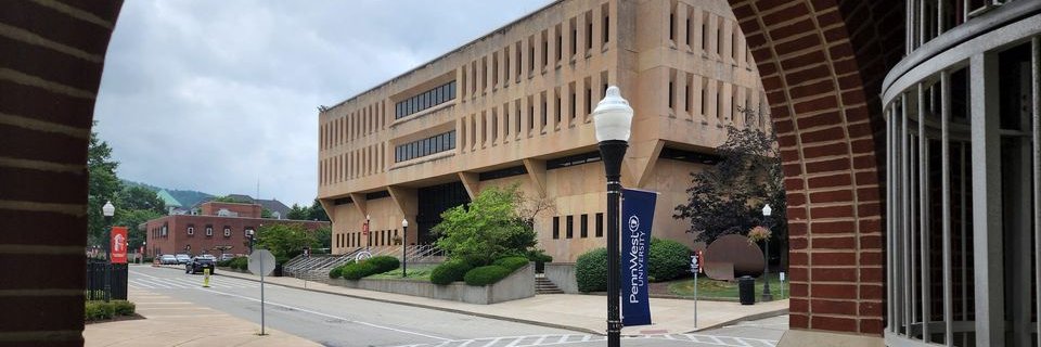 Manderino Library banner