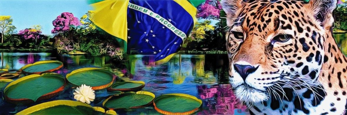 jonasmelopd's profile banner image