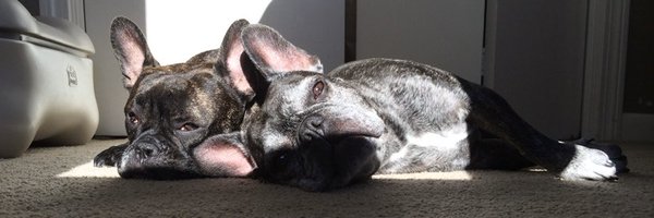 smokenbig Profile Banner