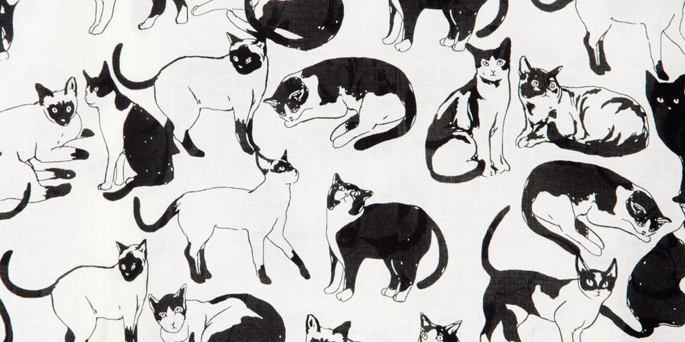 mizzlemizzlecat's profile banner image