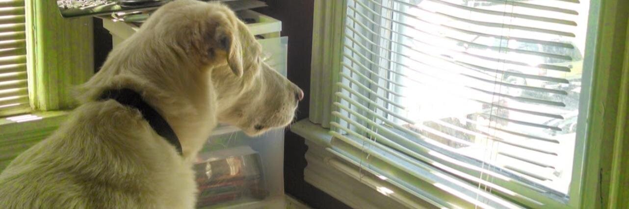 Beep2Bleep Games banner