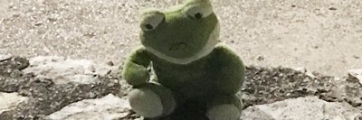 Finn_Snw's profile banner image