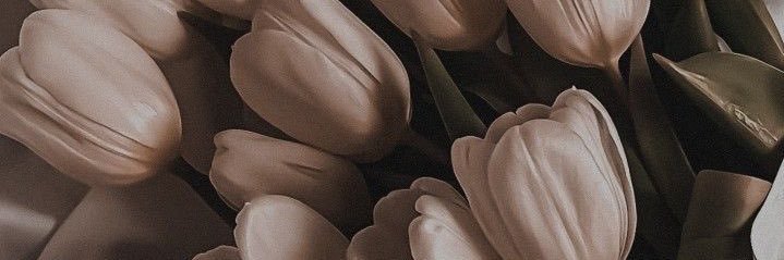 PeroLikeStephh's profile banner image