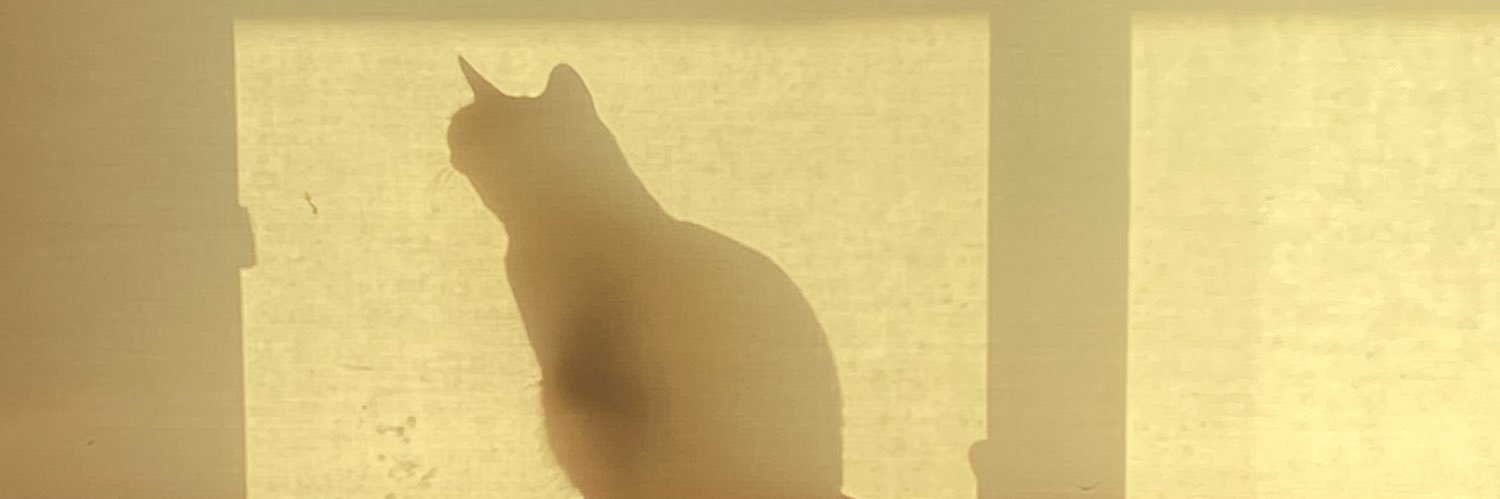m88349258's profile banner image