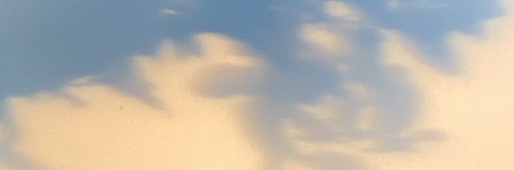 isr. banner
