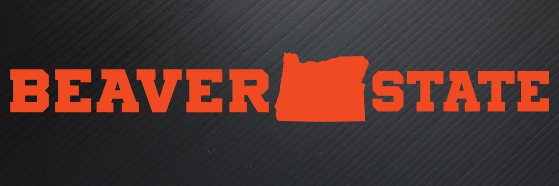 nukebeaver's profile banner image