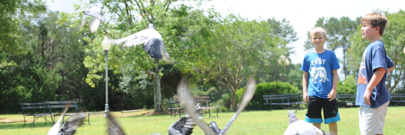 WiregrassLiving's profile banner image