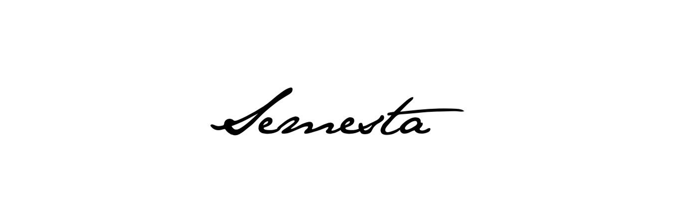𝗦𝗘𝗠𝗘𝗦𝗧𝗔 banner