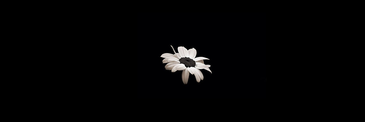 _anonisaa's profile banner image