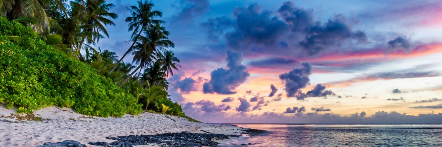 Joy Salvador y Acosta banner