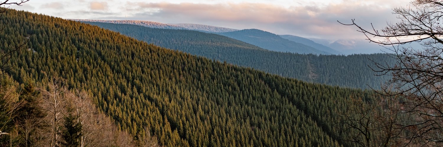 Jan Červinka banner