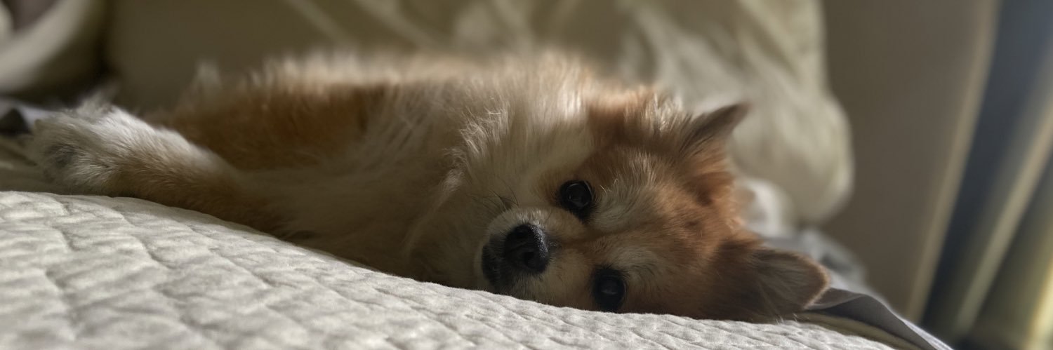 beemayyy_'s profile banner image