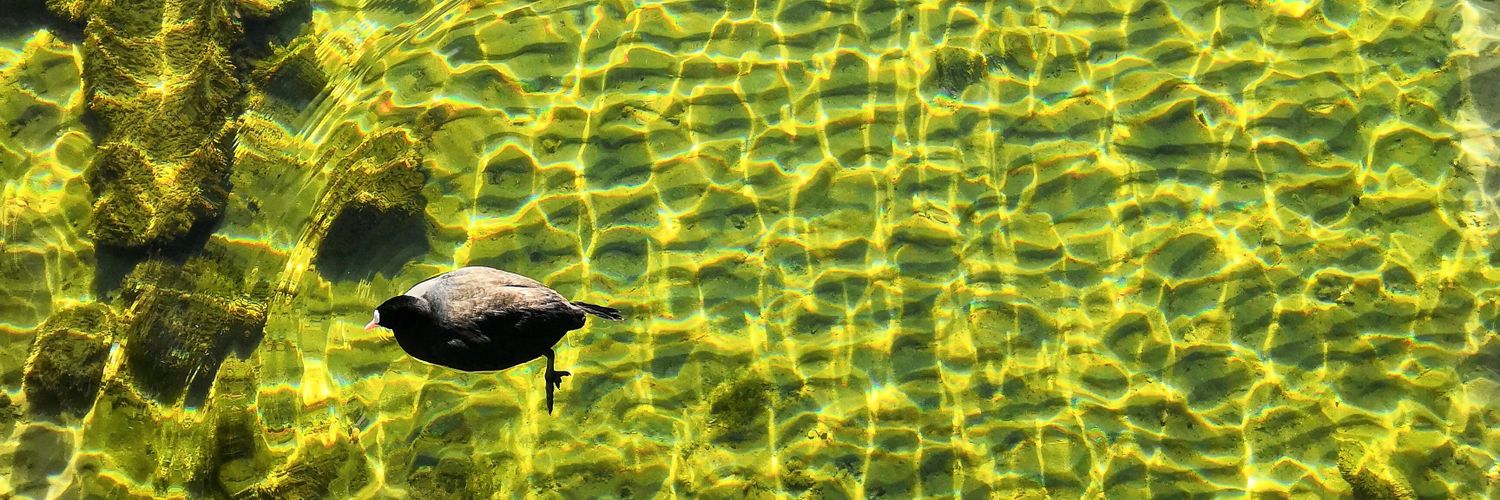 itty-o-tastic banner