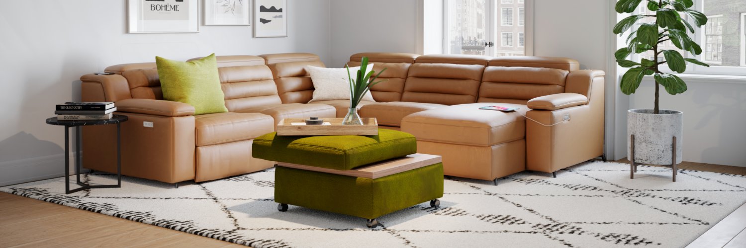 Palliser Furniture banner