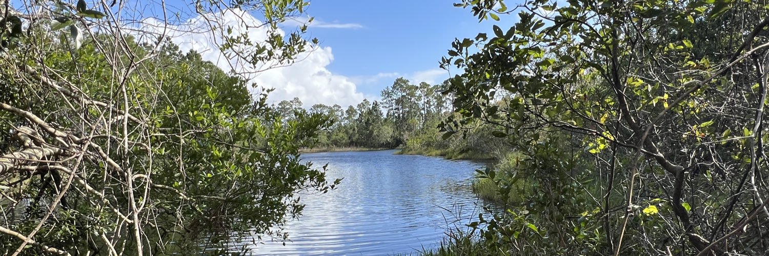 Salvos Rex🥋 banner