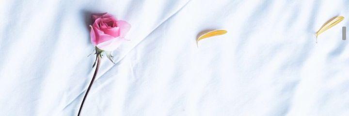bebikiz's profile banner image