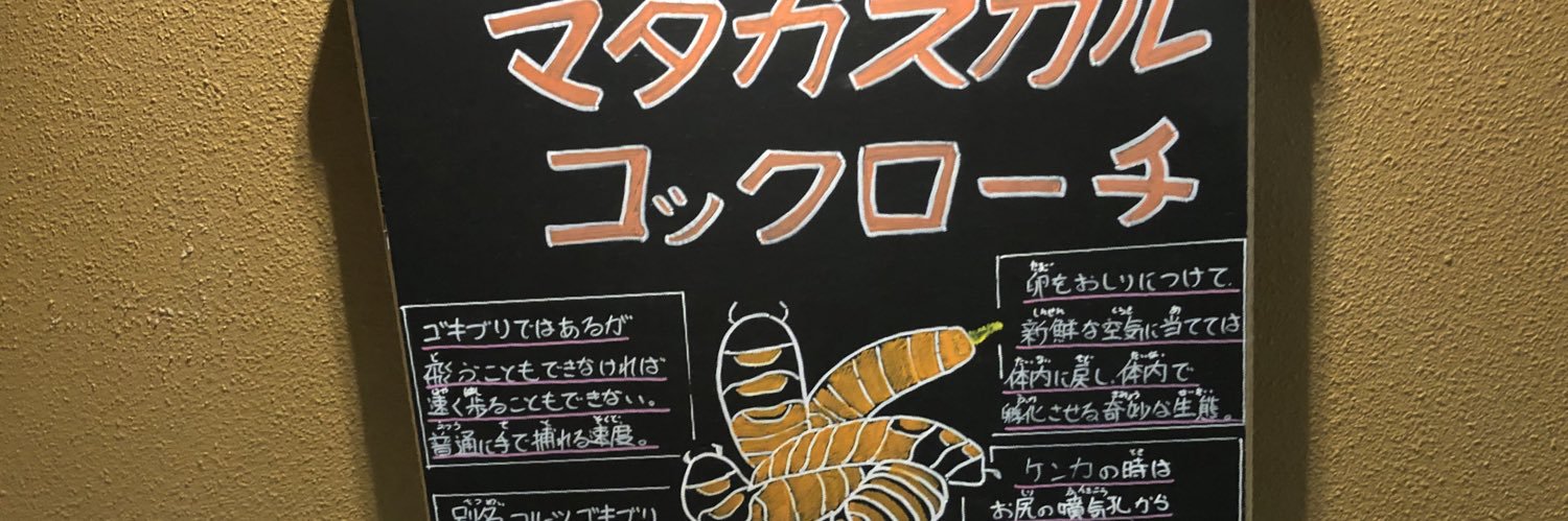 光差す道となれ banner