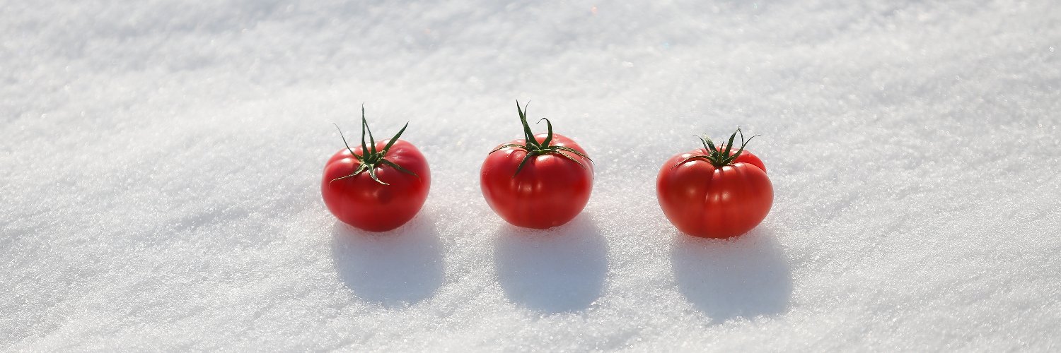 曽我農園＠ 闇落ちとまと 越冬トマトは毎年5月から7月までの販売です banner