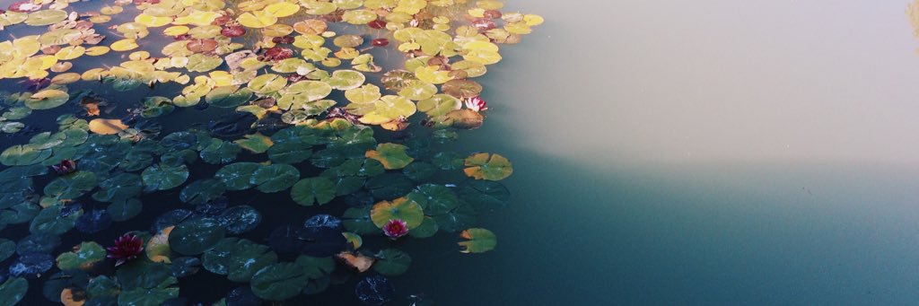 jenmgriffiths's profile banner image