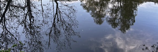 cripsociologist Profile Banner