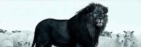atlaswinpro's profile banner image