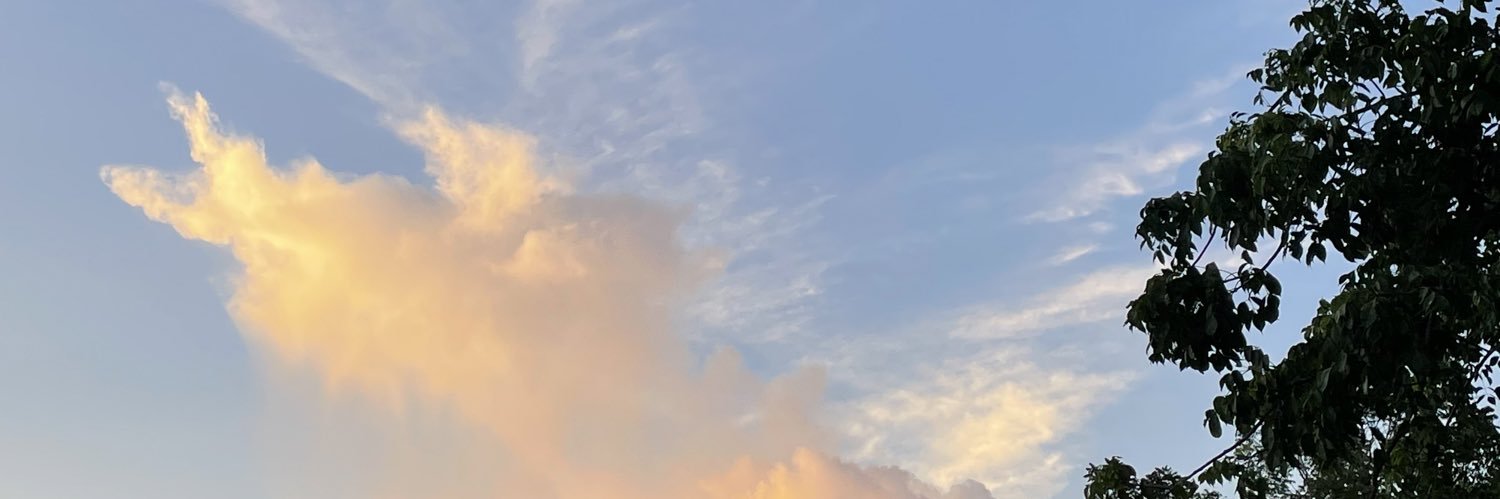 BlancaaCorres's profile banner image