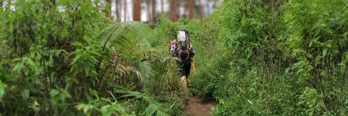 Anggi Ferdiands banner