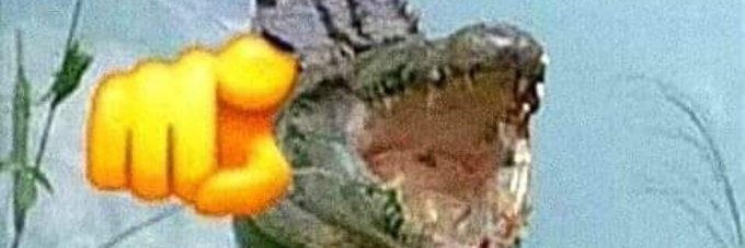 Allan 🇧🇷 banner