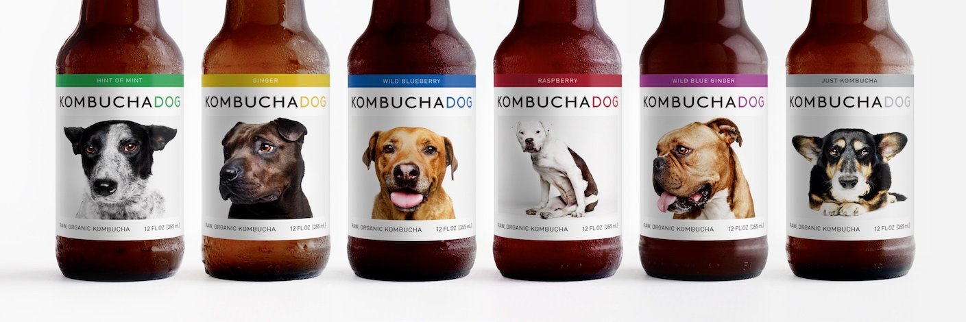 KOMBUCHADOG's profile banner image