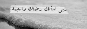 alshamry_n's profile banner image