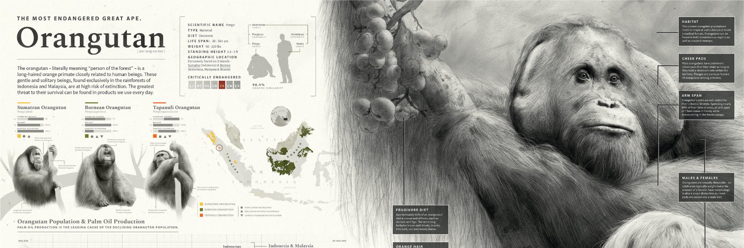 Shehryar (Shay) Saharan banner