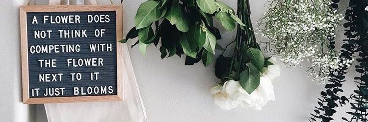 CaandiiceFlynn's profile banner image