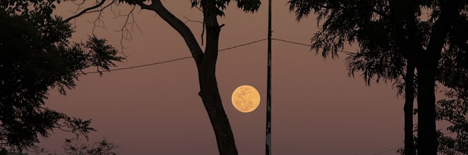 Fernandatohe's profile banner image