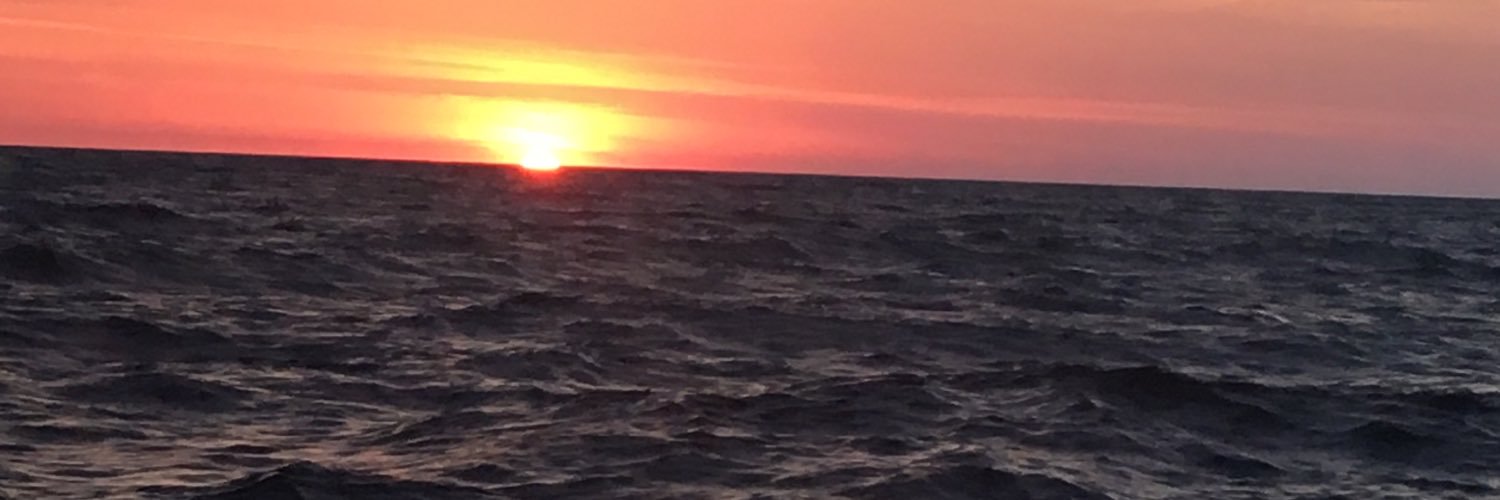 Militant35's profile banner image