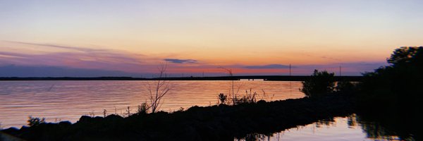 sharpie_1 Profile Banner