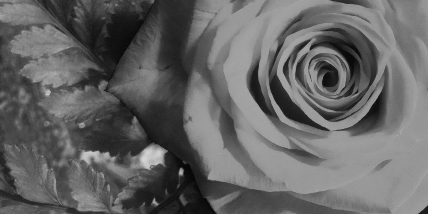 danakkirk's profile banner image