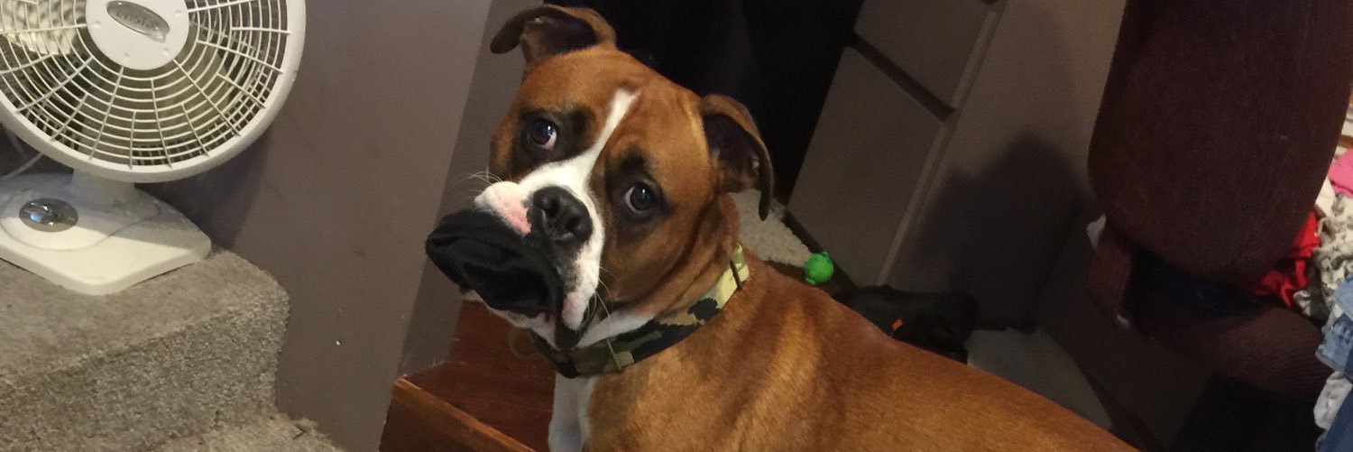 carleypiee's profile banner image