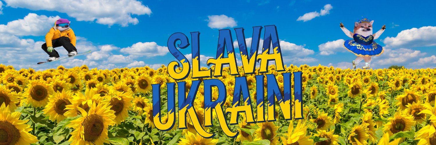 bayoublues 🌻🇺🇲🇺🇦🇲🇫🌻 banner